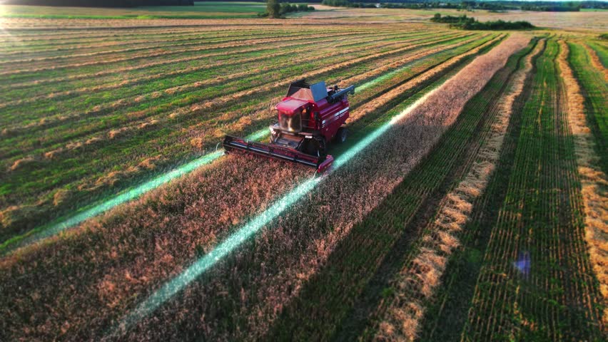 Innovation autonomous self-driving combine harvester of the future with autopilot harvests grain field, scanning the environment with sensors. Smart farming, controlled by artificial intelligence. 4k  Royalty-Free Stock Footage #1100405977
