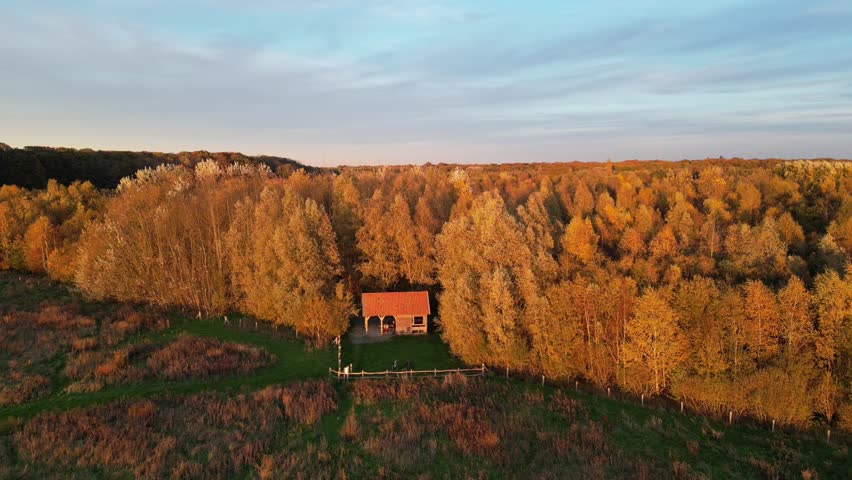 Autumn Forest Evening Sunset Light Down Panning Aerial with Forest Cabin