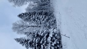 vertical video. Winter mountain landscape. Forest and mountains covered with snow. the concept of the beauty of nature and travel.