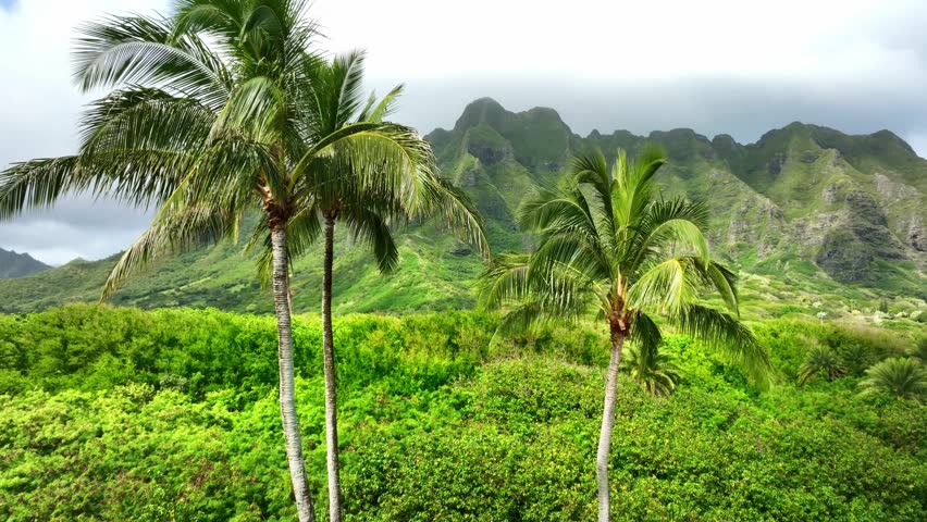 Drone Hawaii. Aerial view tropical island landscape. Oahu Kualoa nature reserve. Paradise vacation, travel getaway, exotic destination. 