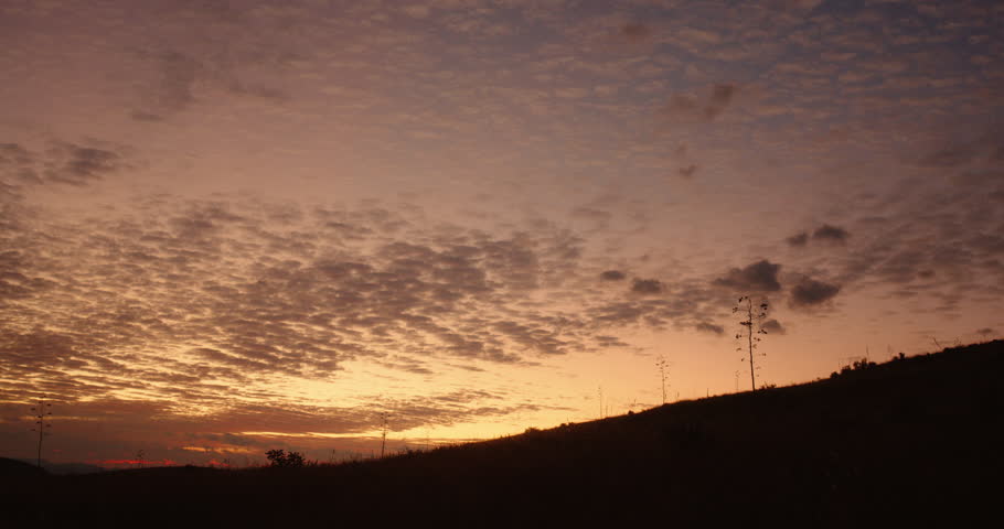 Four Cowboys Riding into the Dawning Sun Silhouette.