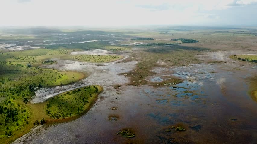 El Dorado wetlands in Guyana