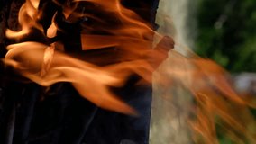 Bonfire burning outdoors closeup vertical video