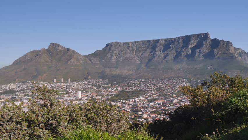 High angle view of Table Mountain, Cape town from Signal Hill trees
