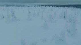Video shot of Riisitunturi Park in winter in Lapland. Amazing mountainous area with big hilly swamps and highly snowy. Trees completely covered in a thick blanket of snow and ice. Snowshoeing. Sci.