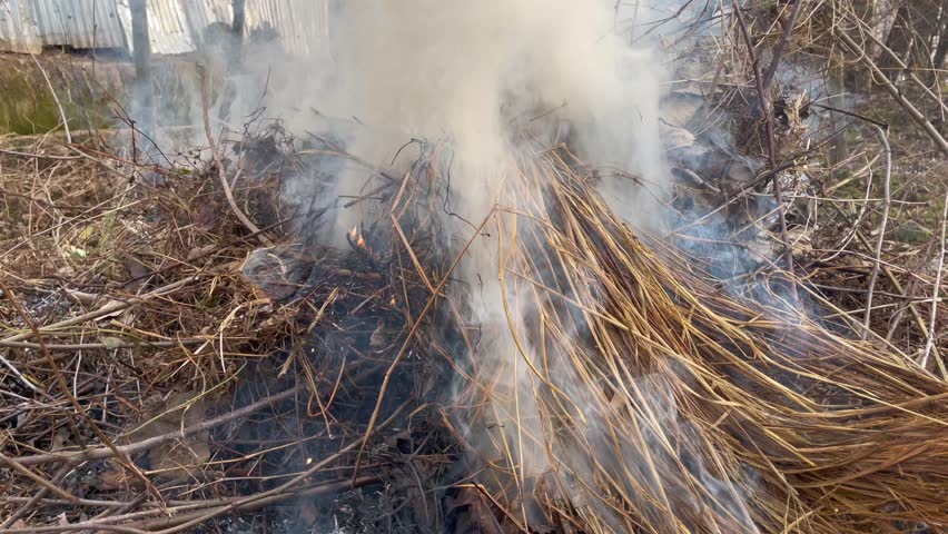 Fog in burning grass during winters | Shutterstock HD Video #1100445427