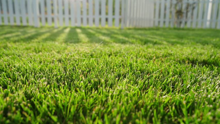 Shadows from a white fence on a mowed green lawn. Sunny summer day outside the city. Well maintained garden Royalty-Free Stock Footage #1100454415