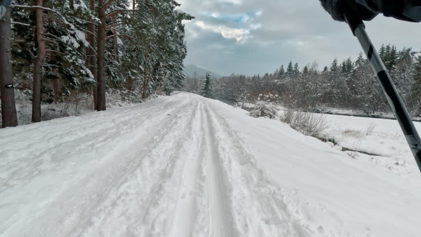 Back cross country skiing near small river, snow covered coniferous trees both sides, action camera point of view