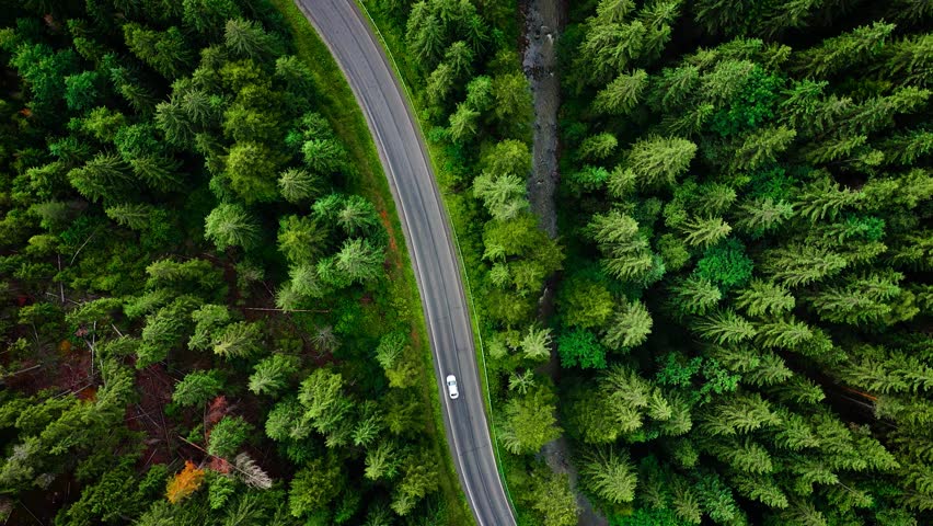 Top down view of cars driving along the road among the coniferous forest Royalty-Free Stock Footage #1100463753