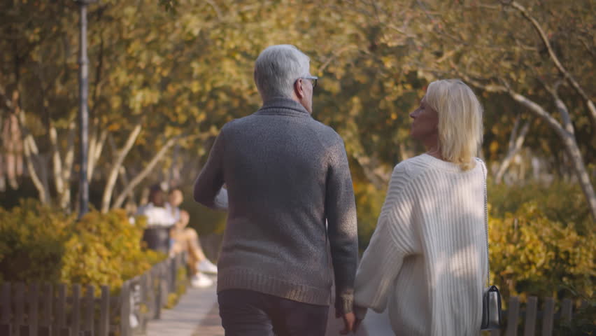 Back view of elderly couple holding hands while walking together in park . Rear view of romantic senior couple walking outdoors in nature. Happiness people lifestyle. Realtime | Shutterstock HD Video #1100464757