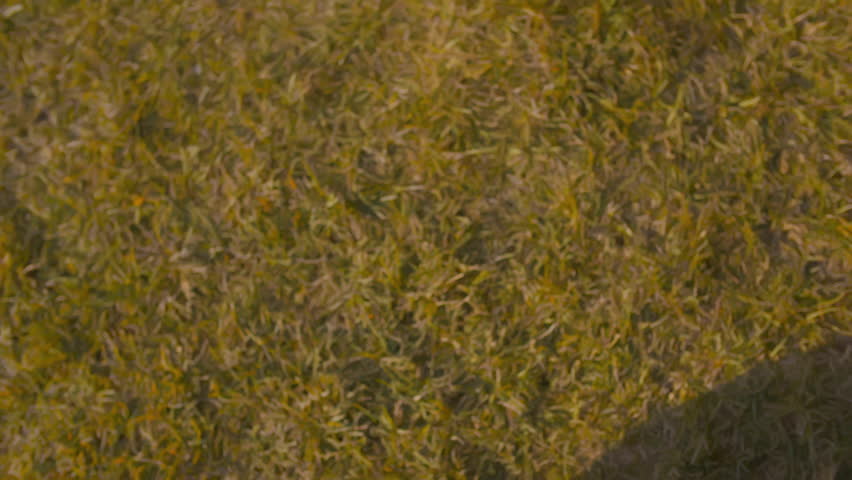 Top view of mature couple holding hands outdoors. Closeup of senior man and woman hold hands in park. Senior husband and wife hold hands. Realtime.  - Powered by Shutterstock - Get 15% off with code: PIKWIZARD15