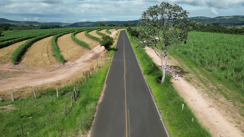 Country Road At Country Scene In Rural Landscape Countryside. Harvest Field Environment. Nature Skyline. Scenic Outdoor. Country Road At Country Scene.