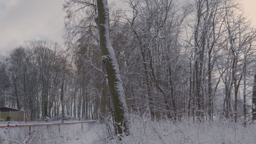 Heavy Snow Covering The Park Surrounded By Trees During Wintertime. - Pan Down Shot