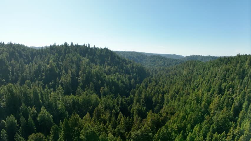 Aerial view of the Cascade Mountains covered in evergreen trees.
