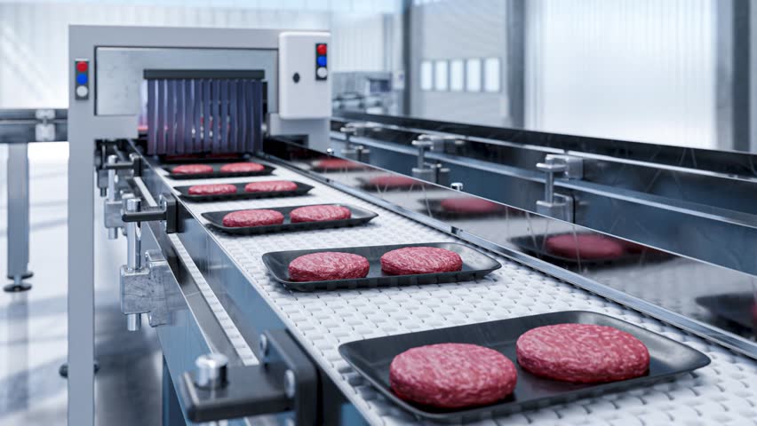 Conveyor in a factory of ready-made beef hamburger cutlets - a modern ecological bio-print meat factory Royalty-Free Stock Footage #1100481701
