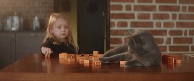 Jiggish gray cat and pretty blond child play together on a wooden table with bright toy blocks, curious pet. Cute girl builds town at kitchen.Kids leisure activity, living with pet as family member 4k