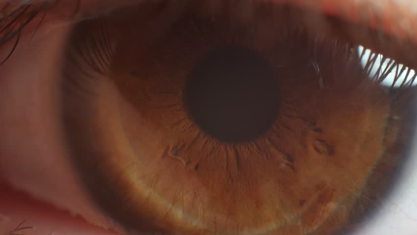 Close-up macro eye of a male human. Frightened shifty eye. Fear in the eyes. Brown-eyed man. Royalty-Free Stock Footage #1100490331