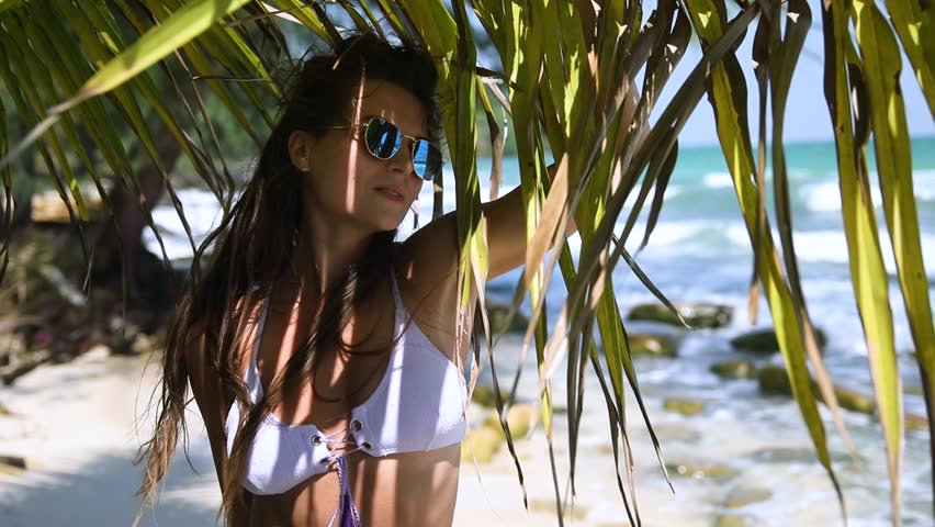 Woman wearing bikini posing under palm leaf tree on the beach