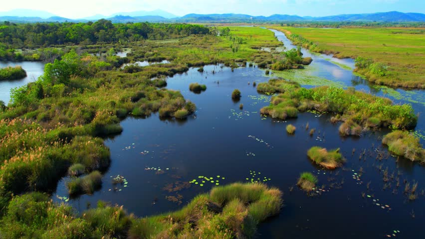 Drone footage of wetlands offers a stunning aerial view of these complex environments, highlighting their intricate network of waterways, marshes, and forests. Thailand. Nature and tourism concept. 4K Royalty-Free Stock Footage #1100494195