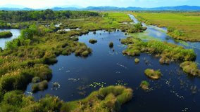 Drone footage of wetlands offers a stunning aerial view of these complex environments, highlighting their intricate network of waterways, marshes, and forests. Thailand. Nature and tourism concept. 4K
