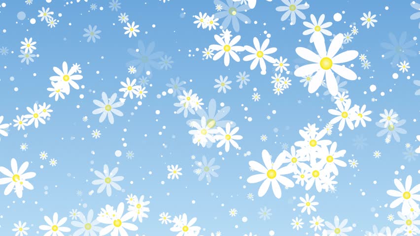 Blue spring background. Falling cartoon daisies. Easter flowers. Loop. 23,98fps | Shutterstock HD Video #1100497015