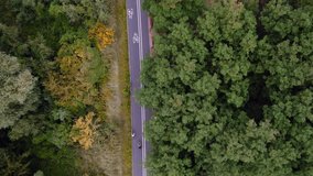 Drone top down footage of a cyclist going through forest symmetrical