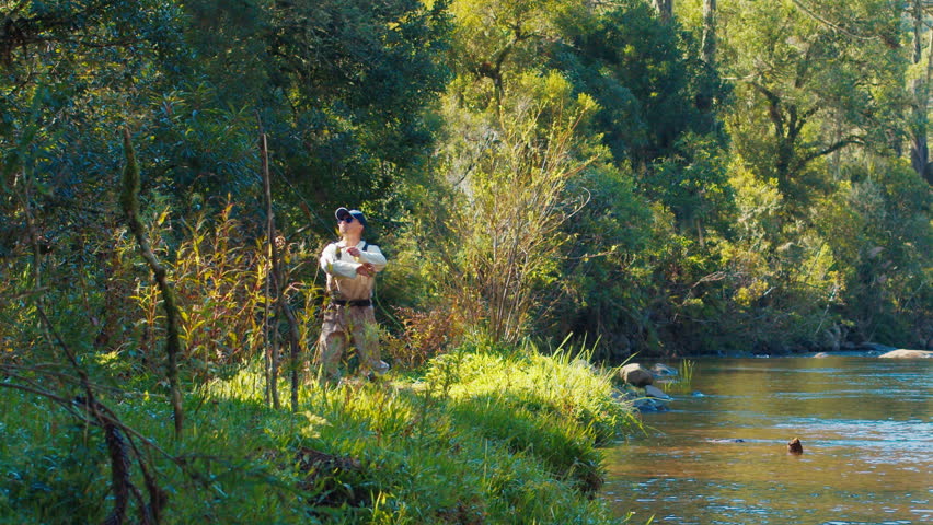 Angler caught tree. Fisherman stands on the land and removes fly and hook from the tree