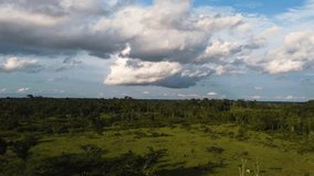 Clouds and green tropical jungle to the horizon camera rising up aerial video