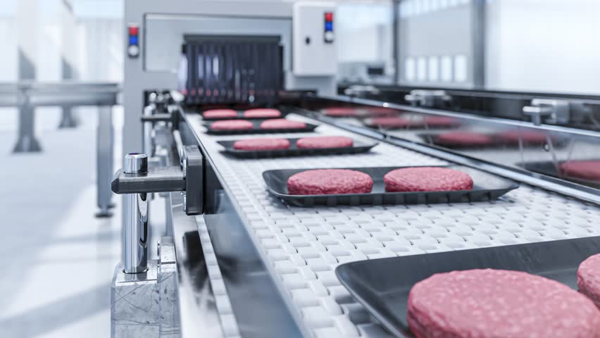 Conveyor in a factory of ready-made beef hamburger cutlets - a modern ecological bio-print meat factory Royalty-Free Stock Footage #1100504877