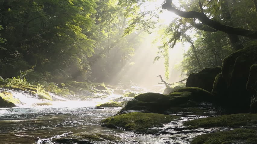 Kikuchi valley, waterfall and ray in forest, Japan Royalty-Free Stock Footage #1100509983