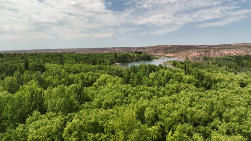 Aerial shot of the source of Rio Negro river, first confluence of Limay River on the right, with Neuquen River on the left. Neuquen, Patagonia Argentina