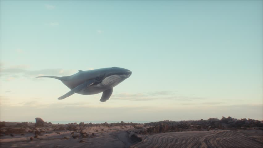 Surrealist Animation of a Humpback Whale in the Sky. Fantasy Imagining. Bold, Catchy Imagery. 4K CGI animation. Royalty-Free Stock Footage #1100513015