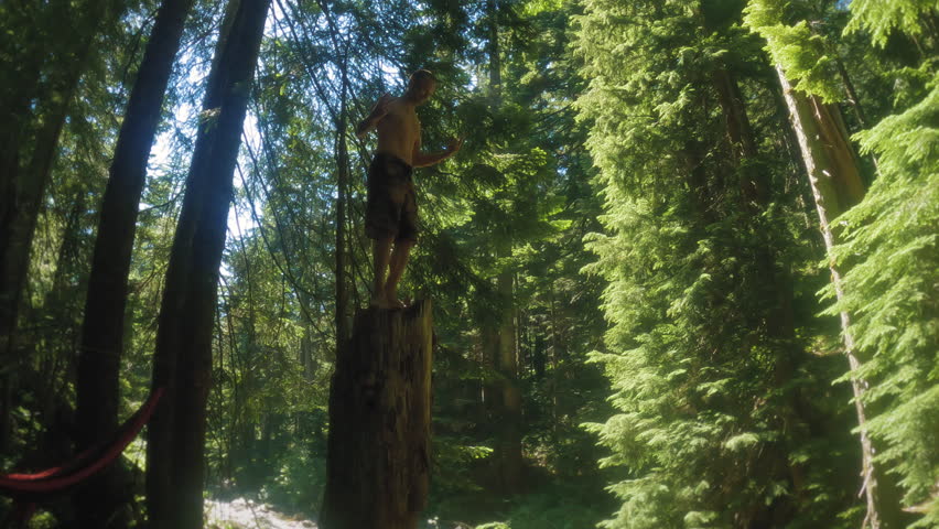 Man Cliff Jumping from Trees Stump Royalty-Free Stock Footage #1100516947
