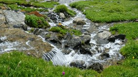 Video of Altai river Yarlyamry. The stream is surrounded by alpine forb meadows. Located on Kuray mountain range. Siberia, Russia.