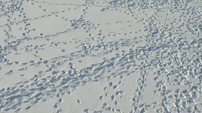 Human footprints in the snow under sunset view, slow hovering movement.