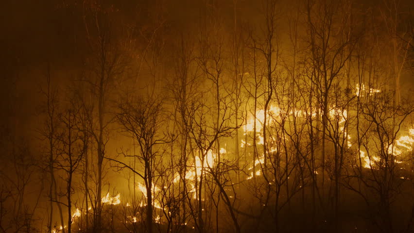 Wildfires release carbon dioxide (CO2) emissions and other greenhouse gases (GHG) that contribute to climate change and global warming. | Shutterstock HD Video #1100520409