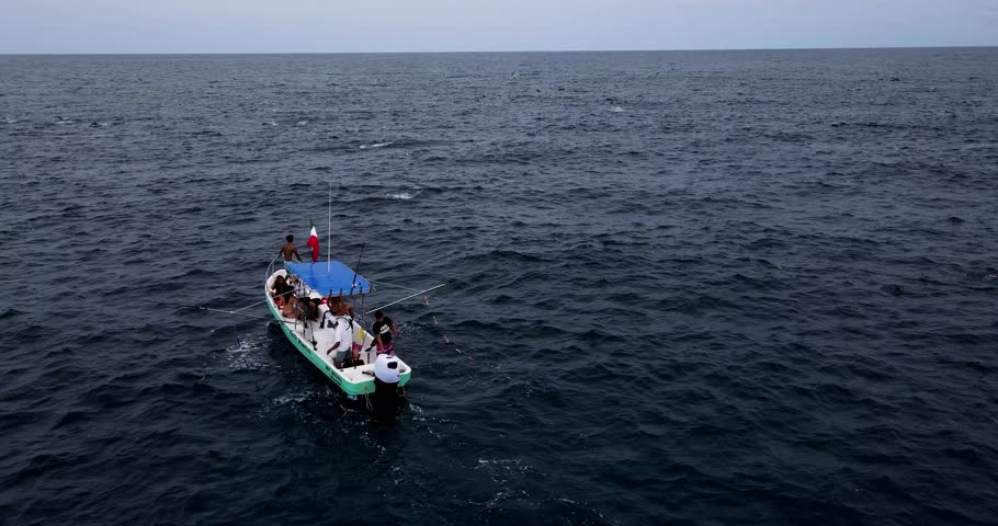 Spinner Dolphons Drone Overhead Mahi Fishing charter boat in puerto escondido pacific ocean mexico with thousands of jumping dolphins in a pod surrounding the vessel in semi rough Agitated seas.