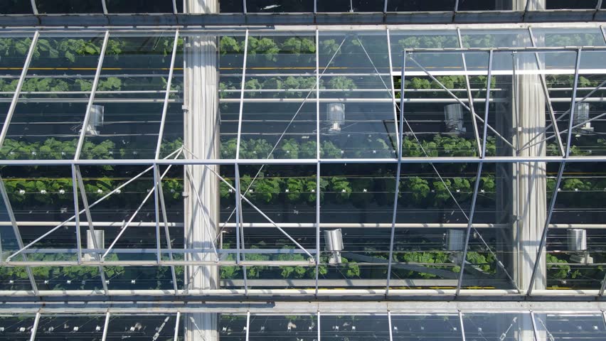 Glass greenhouses from above in sunny weather | Shutterstock HD Video #1100523063
