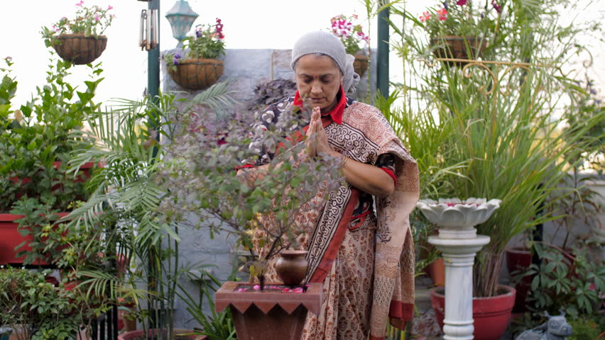 A middle-aged Indian woman is praying with an Agarbatti - incense sticks, Tulsi puja, morning routine . An Indian lady in a Saree is worshipping a Tulsi plant - religious belief, spirituality, Hind... Royalty-Free Stock Footage #1100523439