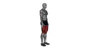 Standing quadriceps stretch side angle fitness exercise workout animation male muscle highlight demonstration at 4K resolution 60 fps crisp quality for websites, apps, blogs, social media etc.
