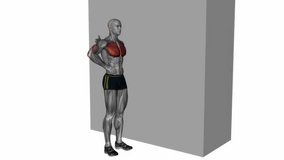 standing one arm chest stretch fitness exercise workout animation male muscle highlight demonstration at 4K resolution 60 fps crisp quality for websites, apps, blogs, social media etc.