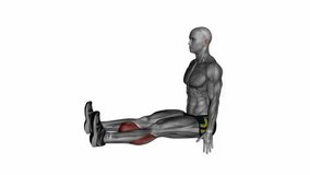 seated calf stretch fitness exercise workout animation male muscle highlight demonstration at 4K resolution 60 fps crisp quality for websites, apps, blogs, social media etc.