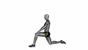 kneeling hip flexor stretch fitness exercise workout animation male muscle highlight demonstration at 4K resolution 60 fps crisp quality for websites, apps, blogs, social media etc.