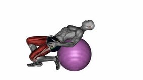 exercise ball seated quad stretch fitness exercise workout animation male muscle highlight demonstration at 4K resolution 60 fps crisp quality for websites, apps, blogs, social media etc.