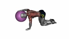 exercise ball lat stretch fitness exercise workout animation male muscle highlight demonstration at 4K resolution 60 fps crisp quality for websites, apps, blogs, social media etc.