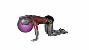 chest stretch with exercise ball fitness exercise workout animation male muscle highlight demonstration at 4K resolution 60 fps crisp quality for websites, apps, blogs, social media etc.