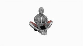 Butterfly Yoga Pose fitness exercise workout animation male muscle highlight demonstration at 4K resolution 60 fps crisp quality for websites, apps, blogs, social media etc.