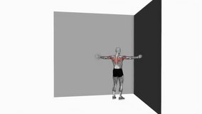 Corner Wall Chest Stretch  fitness exercise workout animation male muscle highlight demonstration at 4K resolution 60 fps crisp quality for websites, apps, blogs, social media etc.
