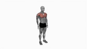 Elbows Back Stretch fitness exercise workout animation male muscle highlight demonstration at 4K resolution 60 fps crisp quality for websites, apps, blogs, social media etc.