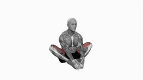 Butterfly Yoga Flaps fitness exercise workout animation male muscle highlight demonstration at 4K resolution 60 fps crisp quality for websites, apps, blogs, social media etc.